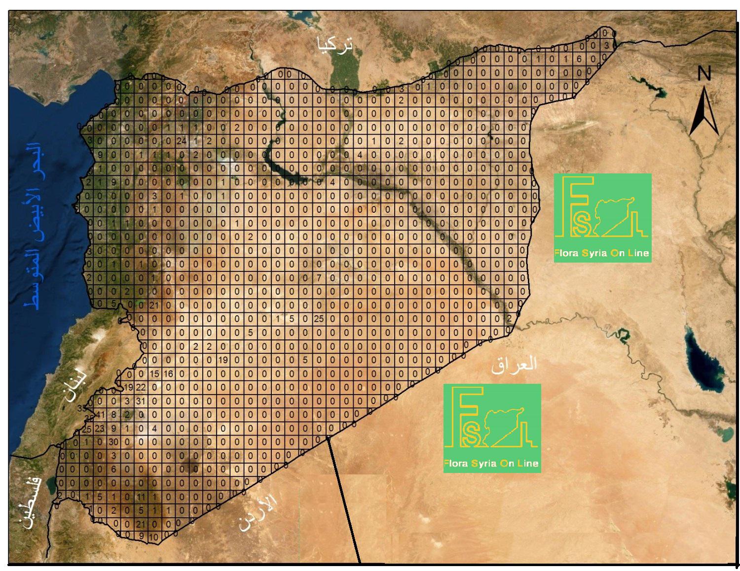 No. of endemic species in 225 km surface area